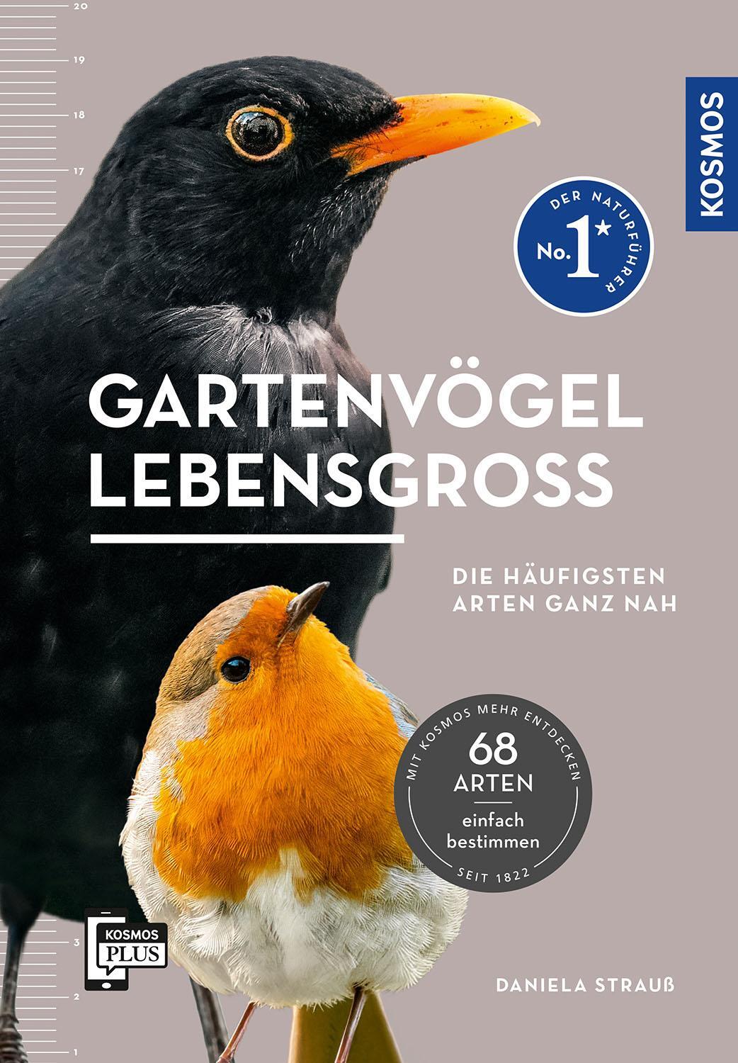 Cover: 9783440178614 | Gartenvögel lebensgroß | Daniela Strauß | Taschenbuch | 128 S. | 2024