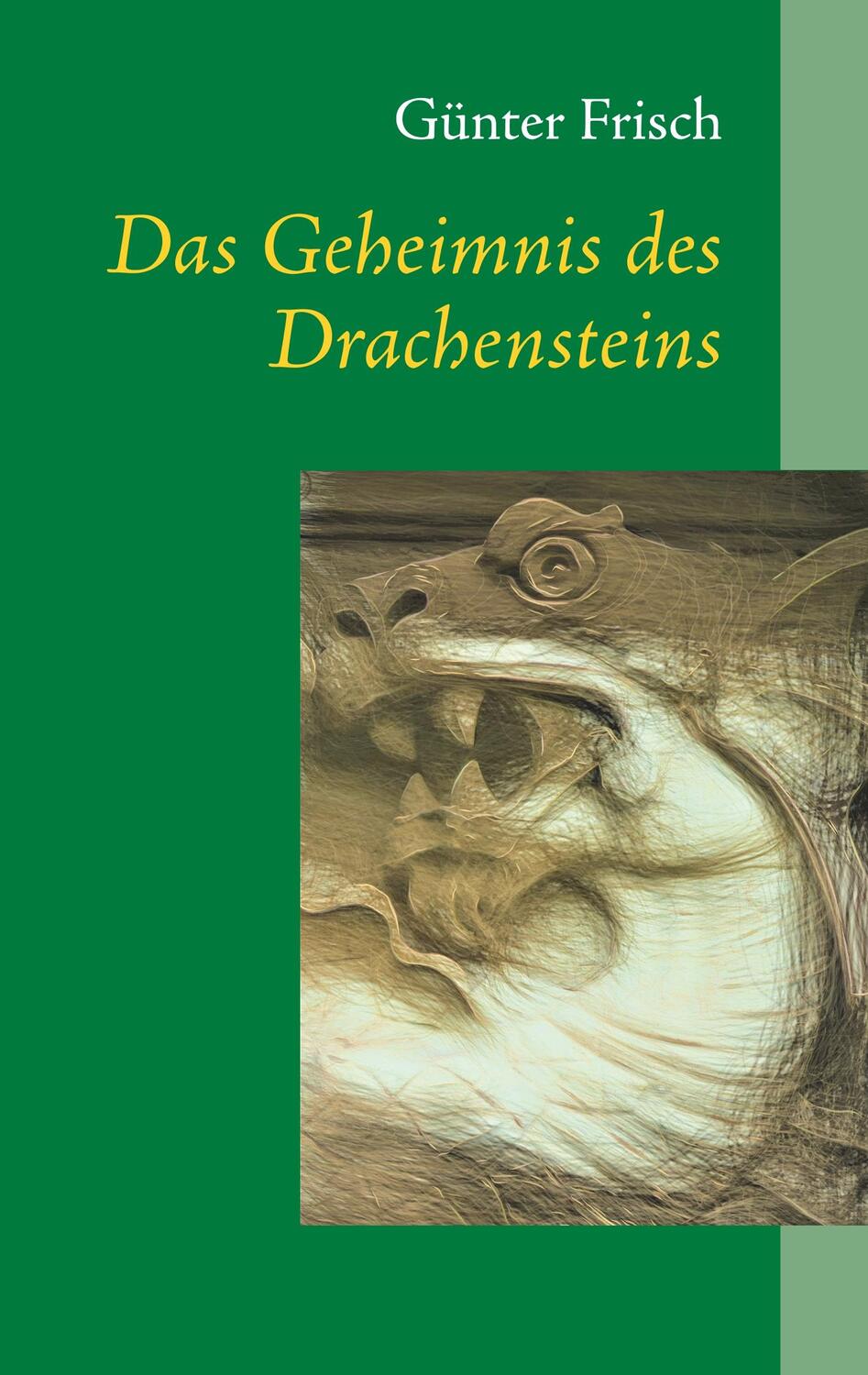 Cover: 9783740752996 | Das Geheimnis des Drachensteins | Günter Frisch | Taschenbuch
