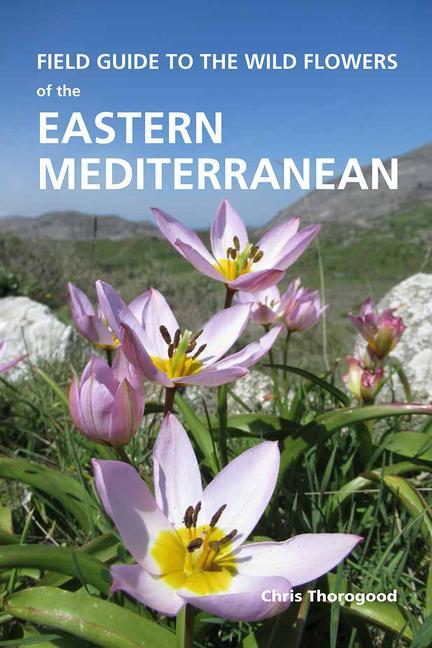 Cover: 9781842466919 | Field Guide to the Wild Flowers of the Eastern Mediterranean | Buch