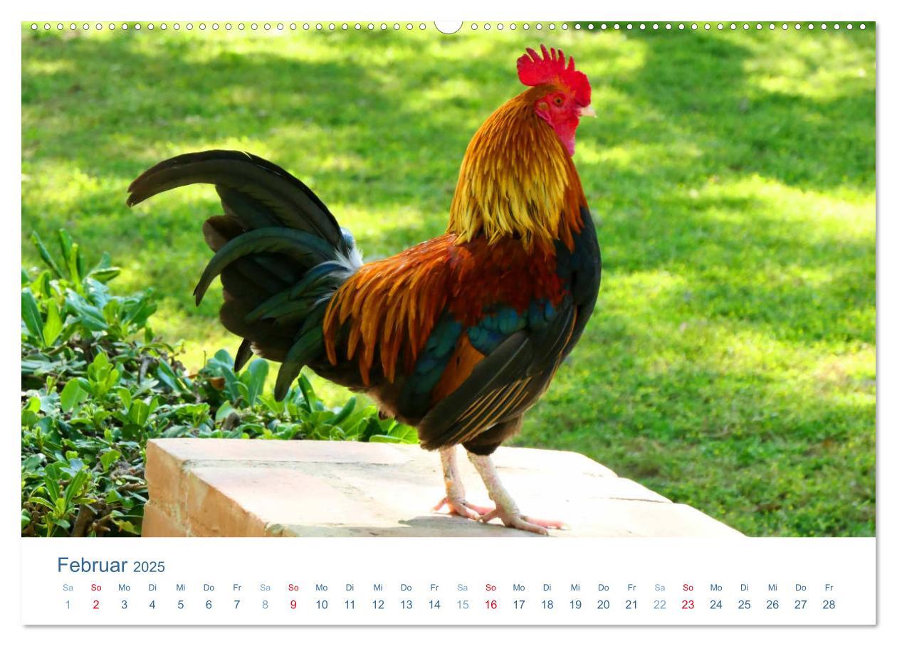 Bild: 9783435493630 | Tierisches Leben auf dem Bauernhof 2025 (Wandkalender 2025 DIN A2...