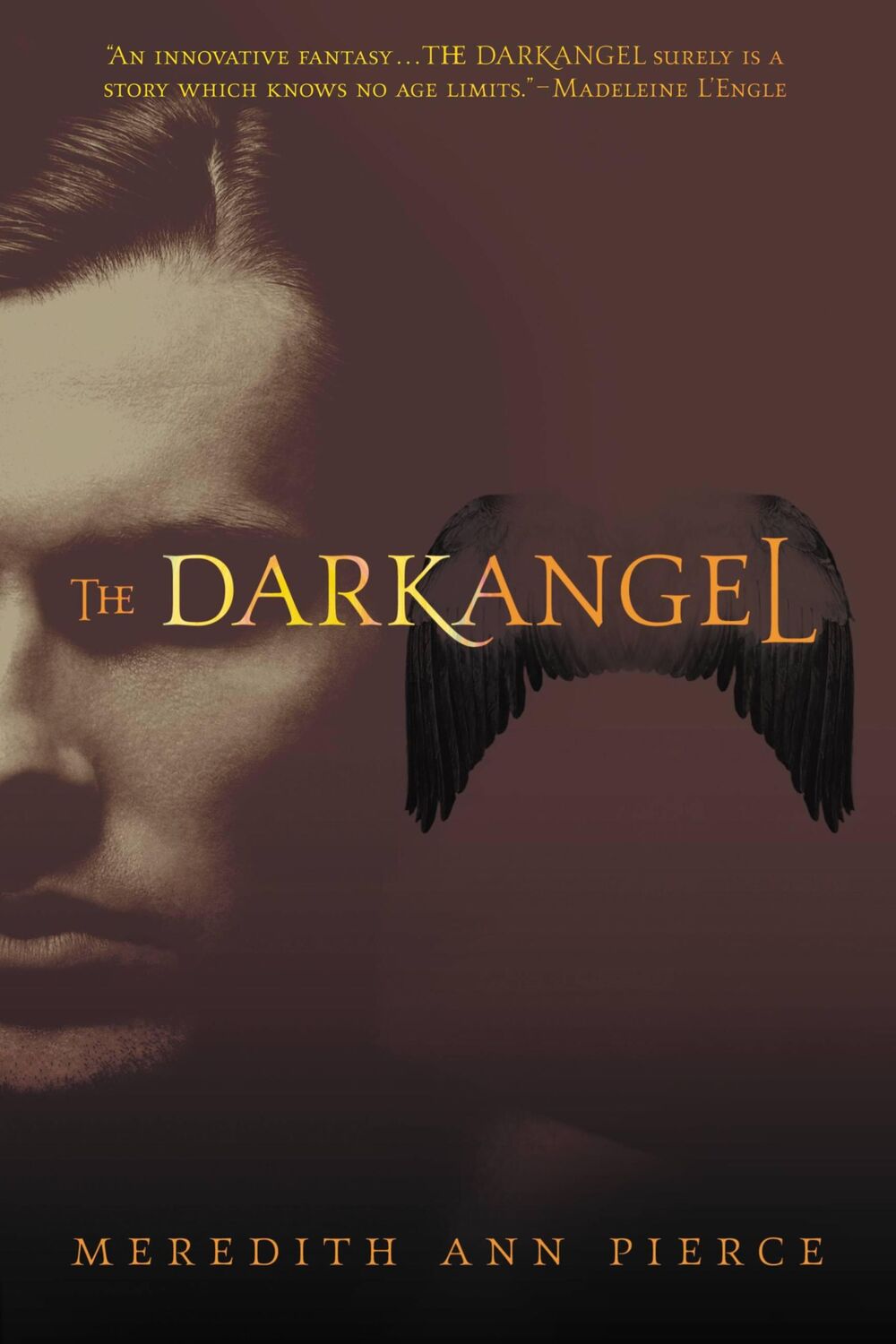 Cover: 9780316067232 | The Darkangel | Meredith Ann Pierce | Taschenbuch | Englisch | 2007