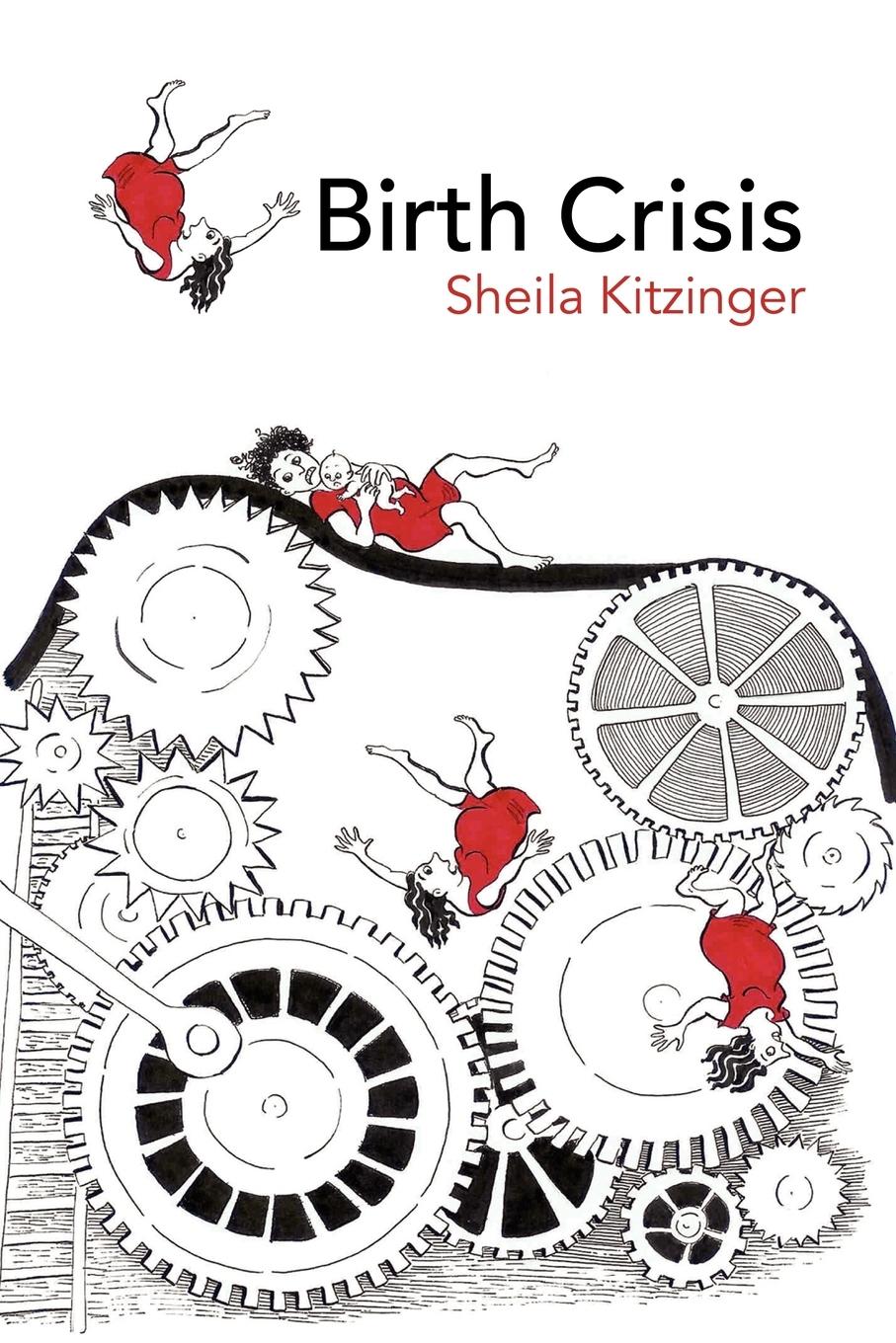 Cover: 9780415372664 | Birth Crisis | Sheila Kitzinger | Taschenbuch | Englisch | 2006