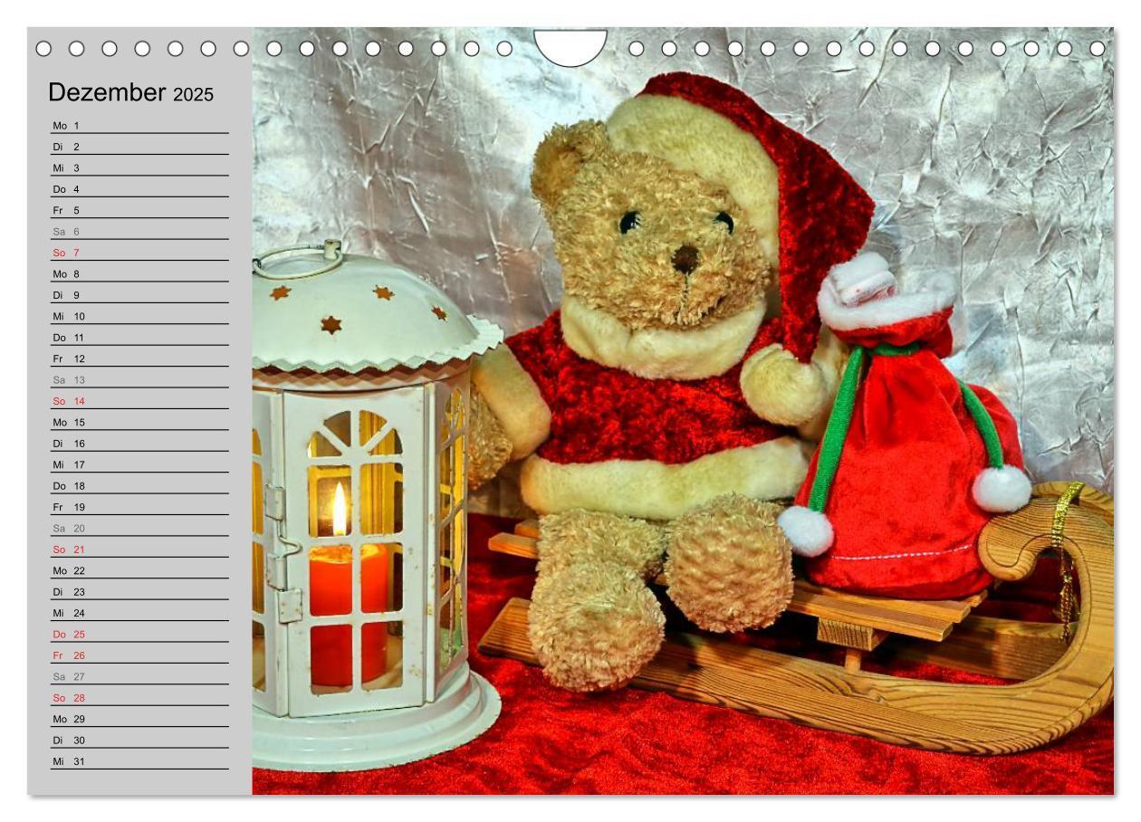 Bild: 9783435496068 | TEDDYBÄR, OH TEDDYBÄR... (Wandkalender 2025 DIN A4 quer), CALVENDO...