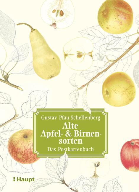 Cover: 9783258081106 | Alte Apfel- & Birnensorten - Das Postkartenbuch | Pfau-Schellenberg