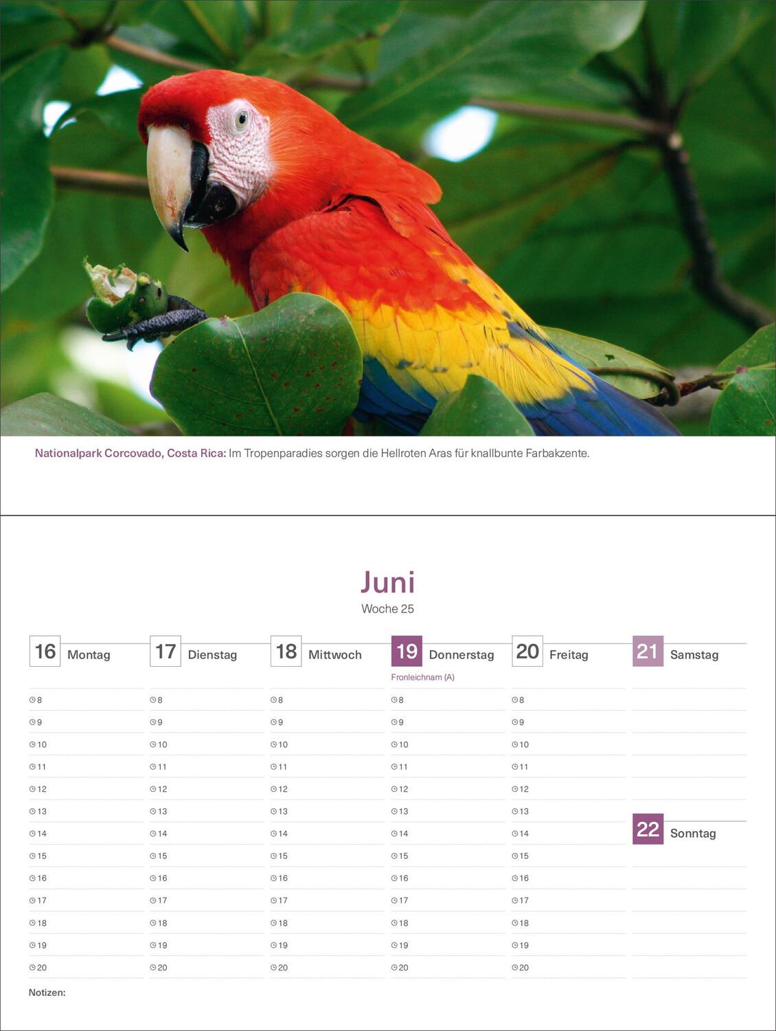 Bild: 9783965913691 | Farben der Erde - KUNTH Tischkalender 2025 | Kalender | 54 S. | 2025