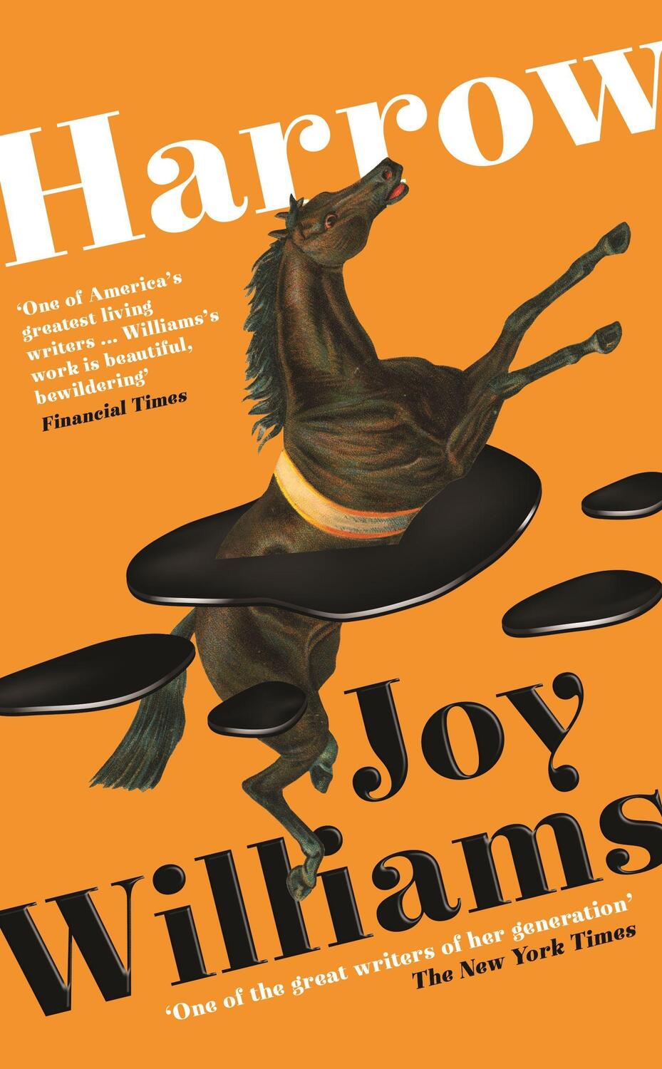 Cover: 9781800810020 | Harrow | Joy Williams | Taschenbuch | B Format Paperback | Englisch
