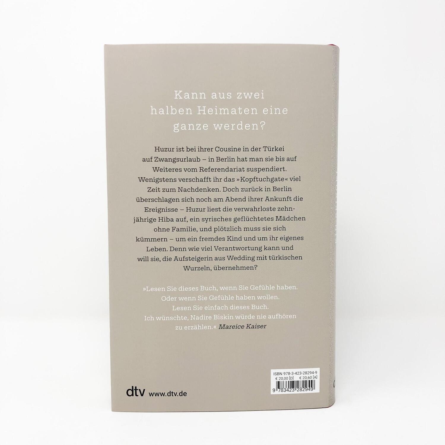 Bild: 9783423282949 | Ein Spiegel für mein Gegenüber | Roman | Nadire Biskin | Buch | 176 S.