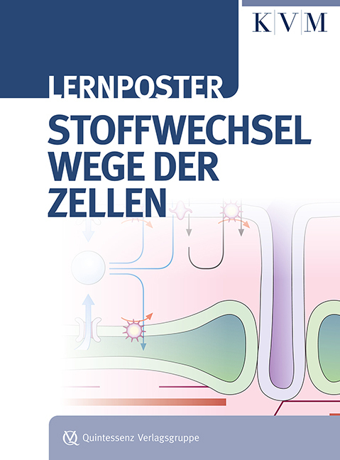 Cover: 9783868672794 | Lernposter Stoffwechselwege der Zellen | Poster | 1 S. | Deutsch