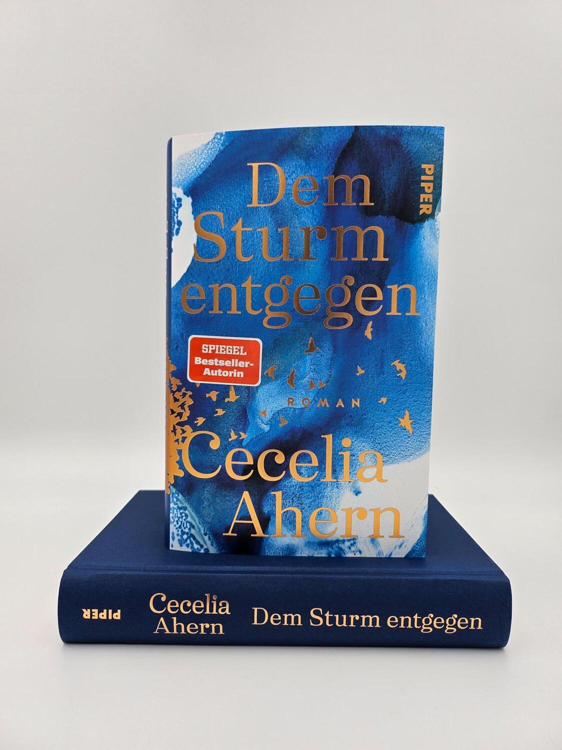 Bild: 9783492071819 | Dem Sturm entgegen | Cecelia Ahern | Buch | 448 S. | Deutsch | 2024