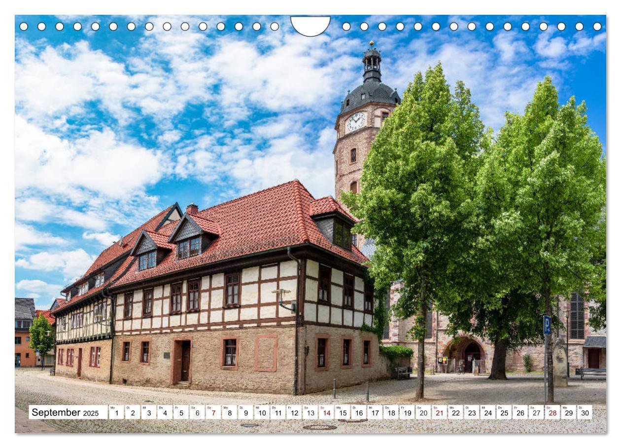 Bild: 9783435225545 | Rosenstadt Sangerhausen (Wandkalender 2025 DIN A4 quer), CALVENDO...