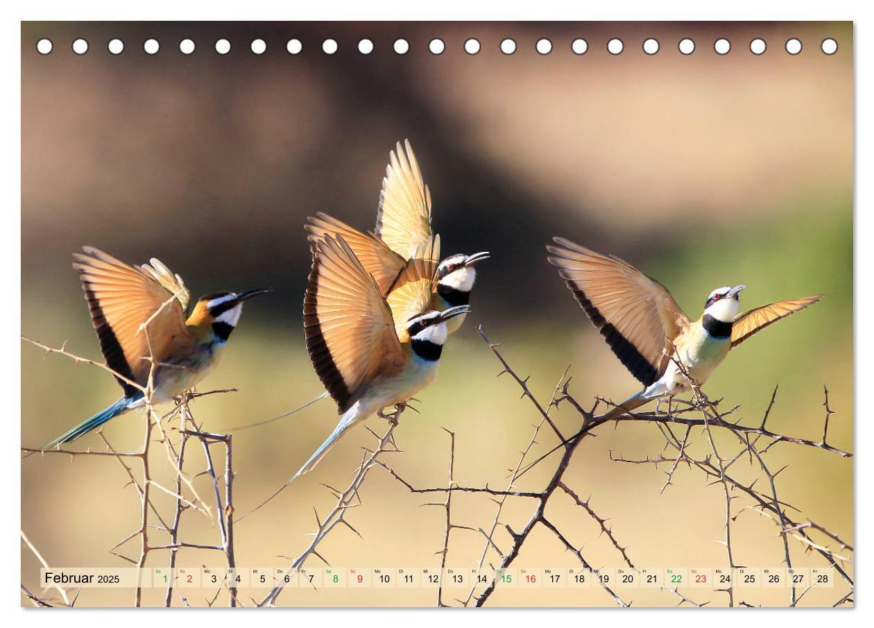 Bild: 9783435696949 | Vögel in Afrika - Magie der Farben (Tischkalender 2025 DIN A5...