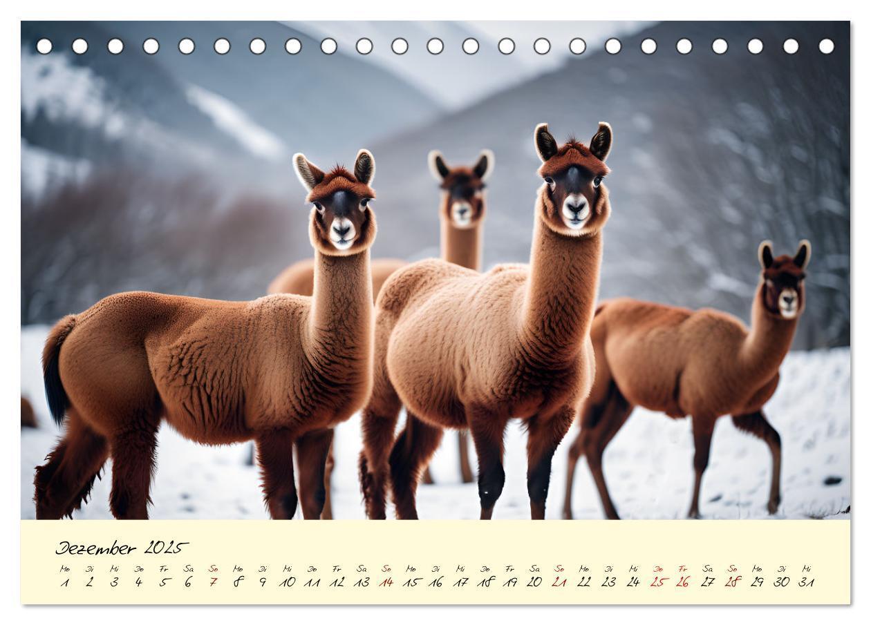 Bild: 9783457189641 | Alpakas, die sanften Andenbewohner (Tischkalender 2025 DIN A5...