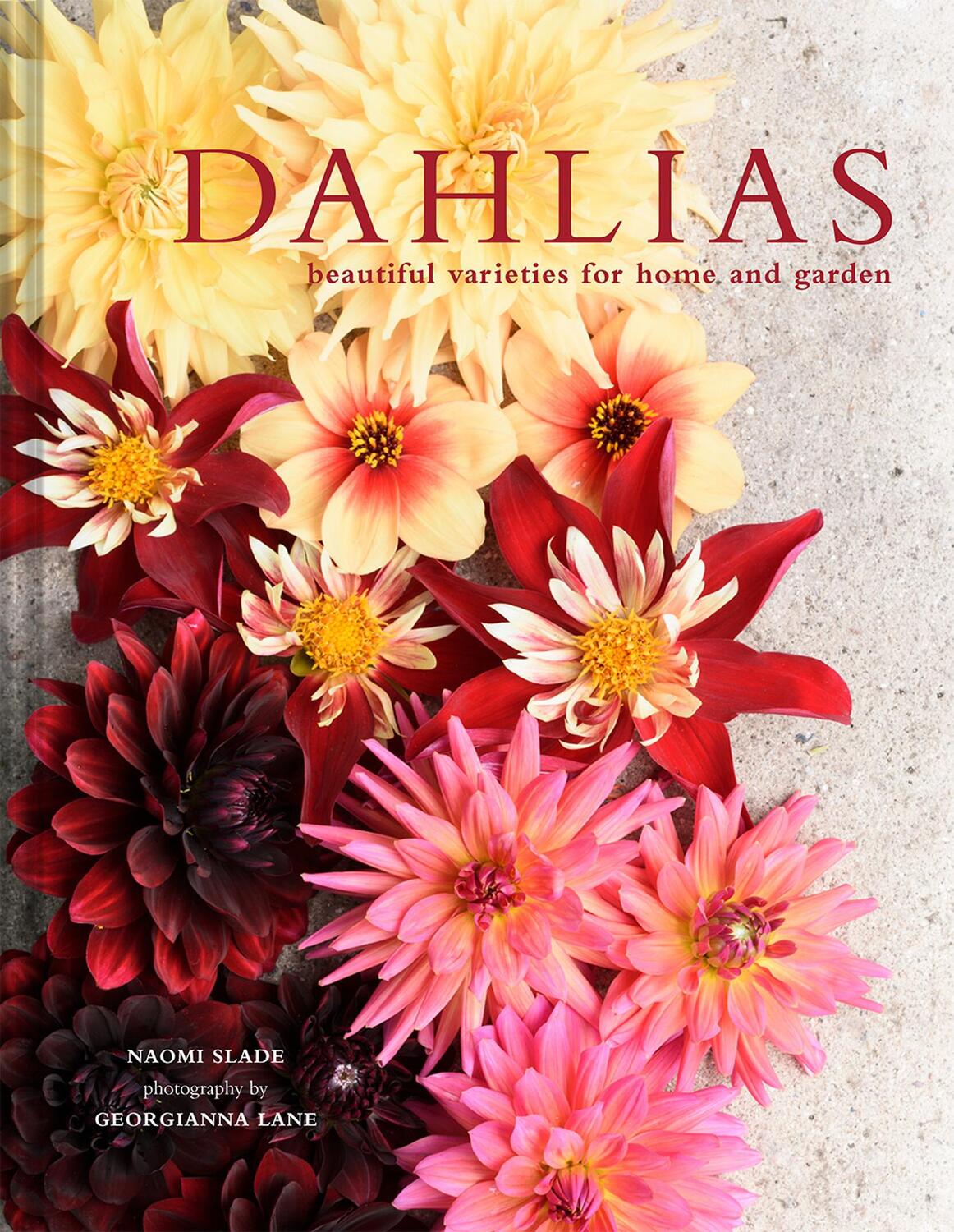 Cover: 9781911595250 | Dahlias | Beautiful varieties for home and garden | Lane (u. a.)