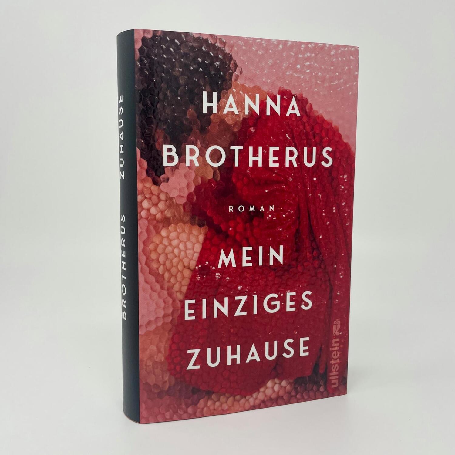 Bild: 9783550202384 | Mein einziges Zuhause | Hanna Brotherus | Buch | 400 S. | Deutsch