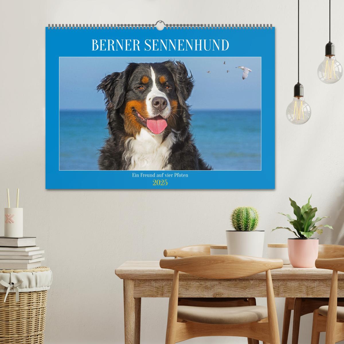 Bild: 9783383848292 | Berner Sennenhund - Ein Freund auf vier Pfoten (Wandkalender 2025...