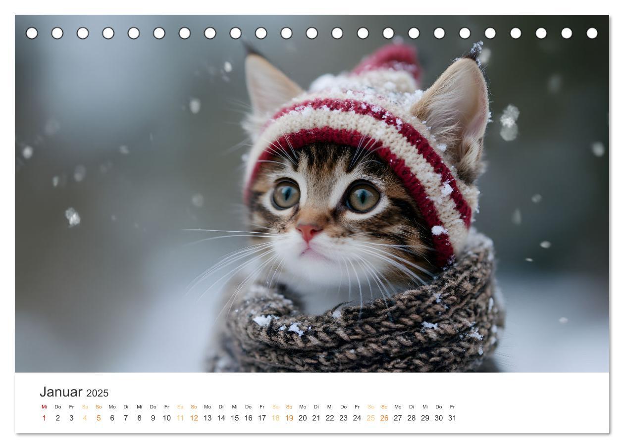 Bild: 9783457208038 | Zauberhafte Katzenbabys (Tischkalender 2025 DIN A5 quer), CALVENDO...