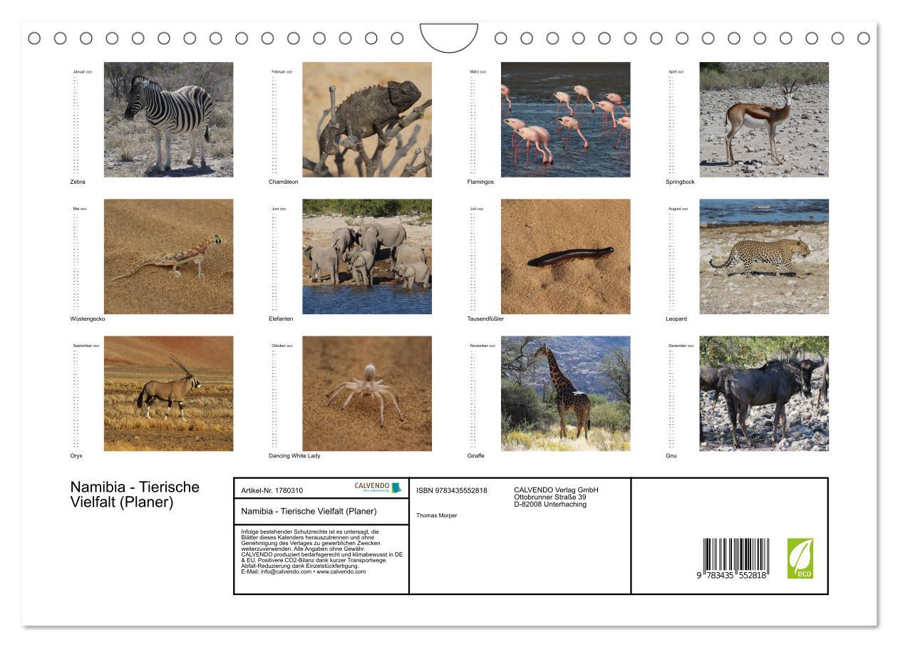 Bild: 9783435552818 | Namibia - Tierische Vielfalt (Planer) (Wandkalender 2025 DIN A4...