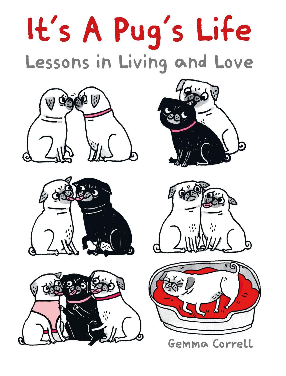 Cover: 9781912983506 | It's a Pug's Life | Lessons in Living and Love | Gemma Correll | Buch