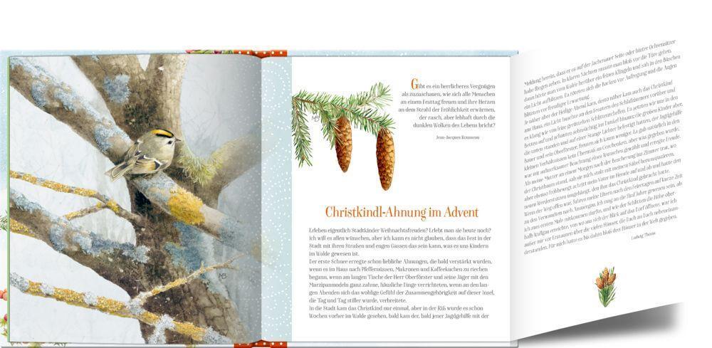Bild: 9783649639855 | Zauberhafte Weihnachtszeit! | Buch | Adventskalenderbuch | 112 S.