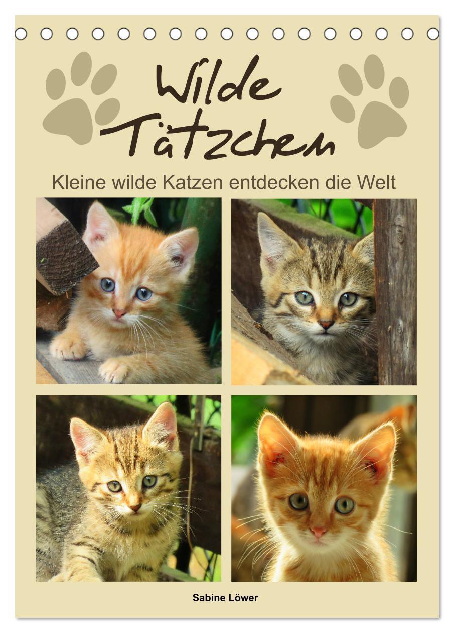 Cover: 9783383121760 | Wilde Tätzchen, kleine wilde Katzen entdecken die Welt...