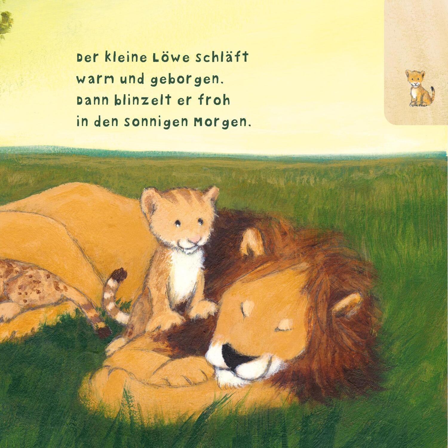 Bild: 9783551053206 | Baby Pixi (unkaputtbar) 104: Der kleine Löwe | Susanne Lütje | Buch
