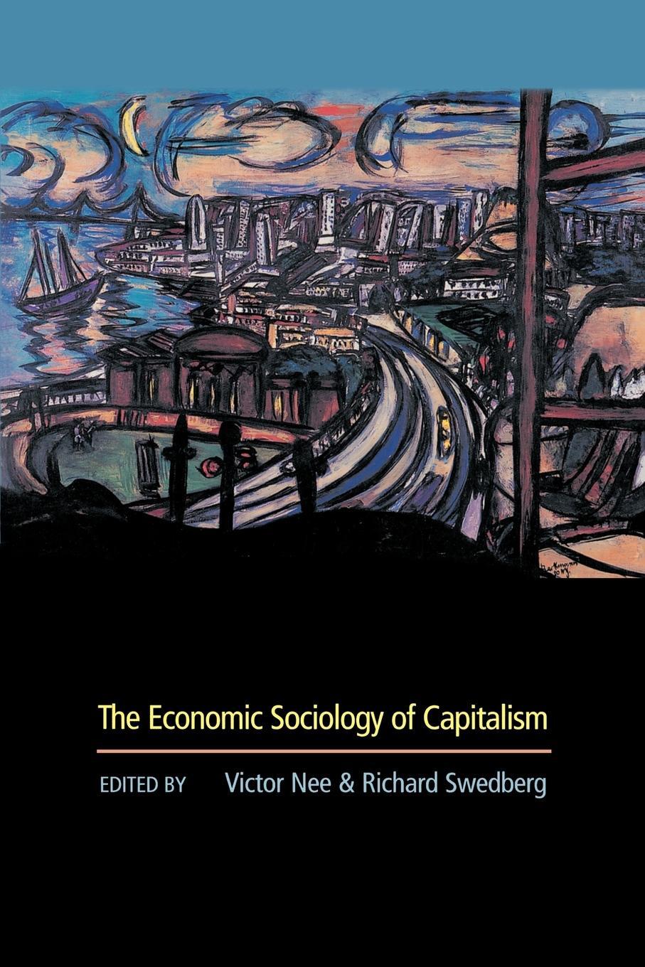 Cover: 9780691119588 | The Economic Sociology of Capitalism | Richard Swedberg | Taschenbuch