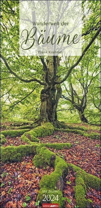 Cover: 9783840084232 | Wunderwelt der Bäume Kalender 2024. Baum-Fotos durch alle...