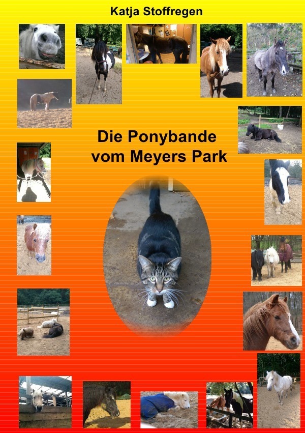 Cover: 9783741857027 | Die Ponybande vom Meyers Park | Katja Stoffregen | Taschenbuch | 2016