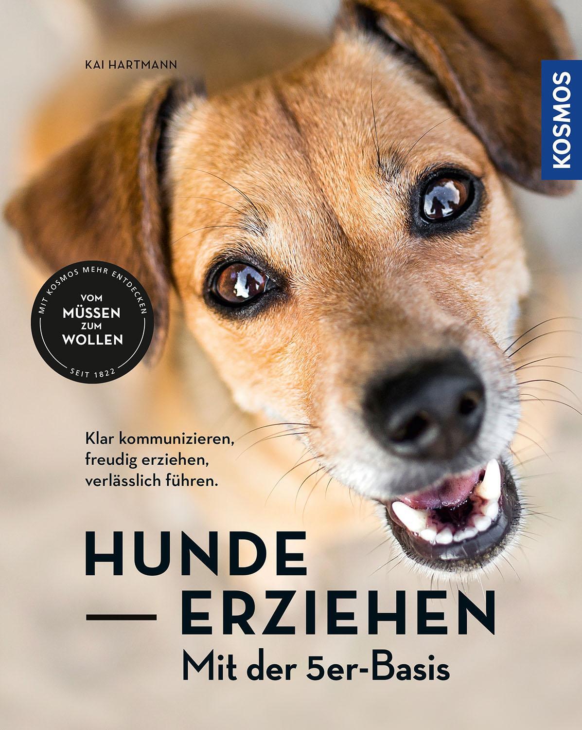 Cover: 9783440168028 | Hunde erziehen - mit der 5er-Basis | Kai Hartmann | Taschenbuch | 2020