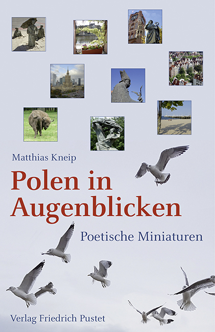 Cover: 9783791730943 | Polen in Augenblicken | Poetische Miniaturen | Matthias Kneip | Buch