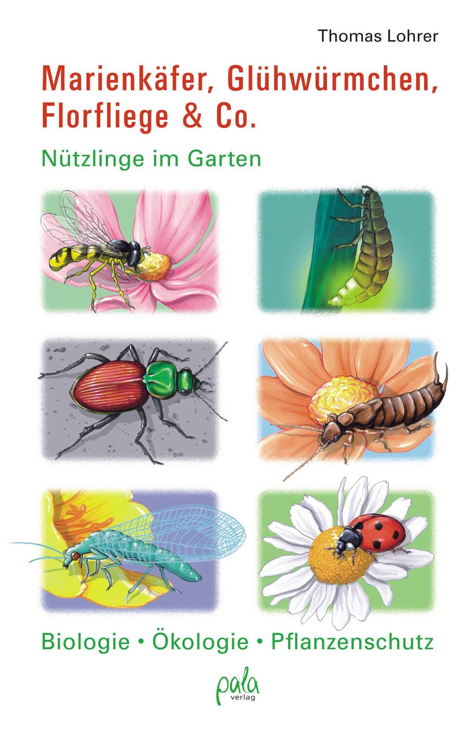 Cover: 9783895662775 | Marienkäfer, Glühwürmchen, Florfliege & Co. | Thomas Lohrer | Buch