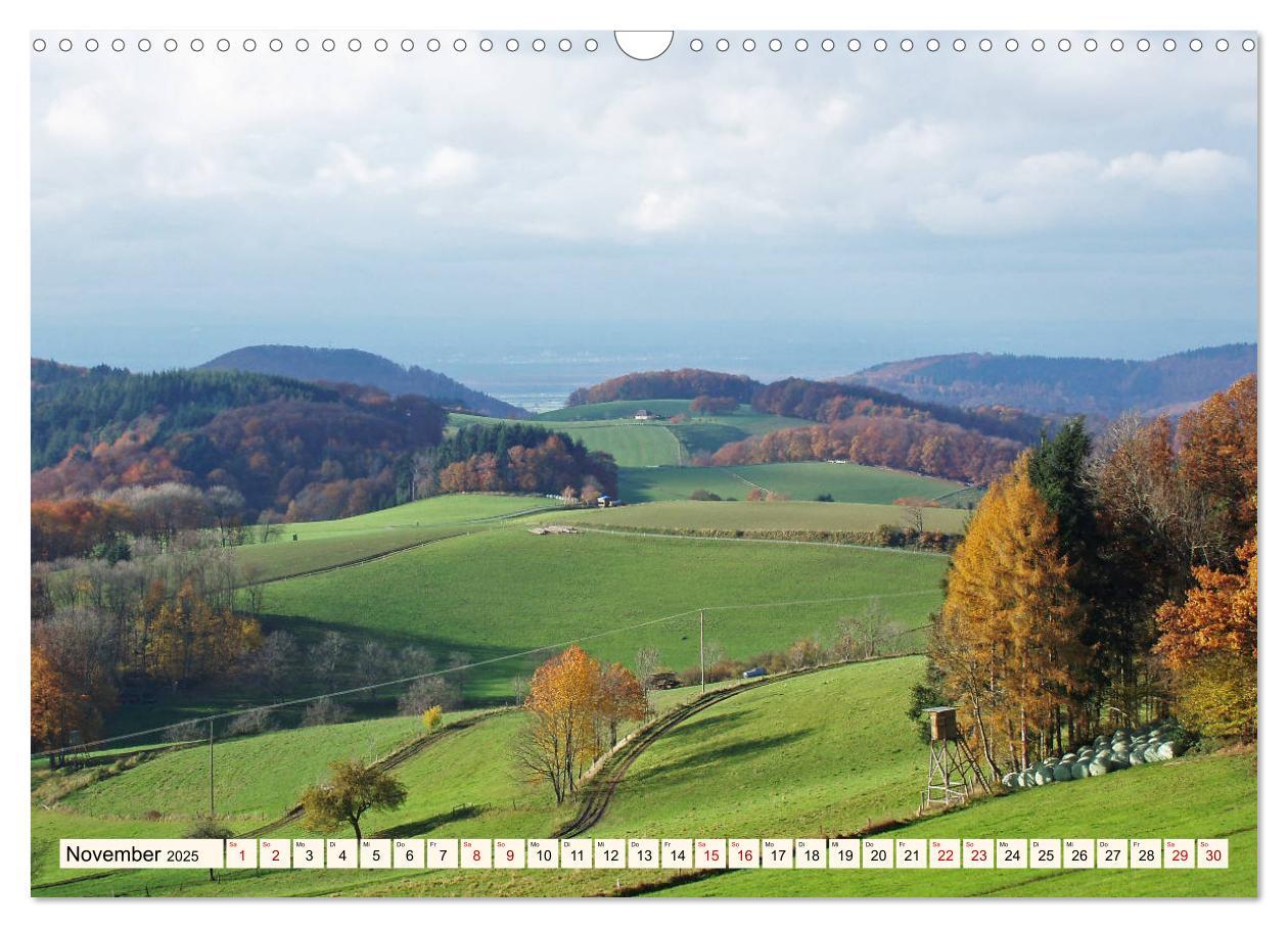 Bild: 9783435222315 | Viele Wege - ein Ziel Wandern im Odenwald (Wandkalender 2025 DIN A3...