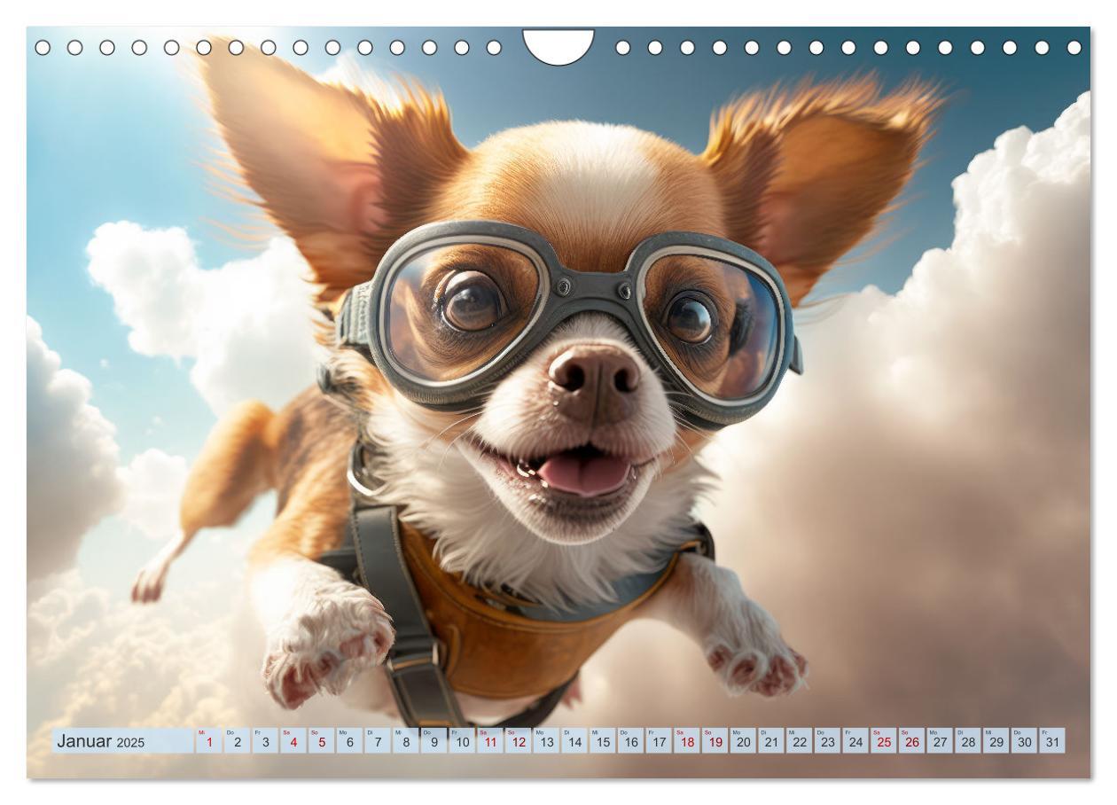 Bild: 9783383867149 | Hunde Skydiving (Wandkalender 2025 DIN A4 quer), CALVENDO...