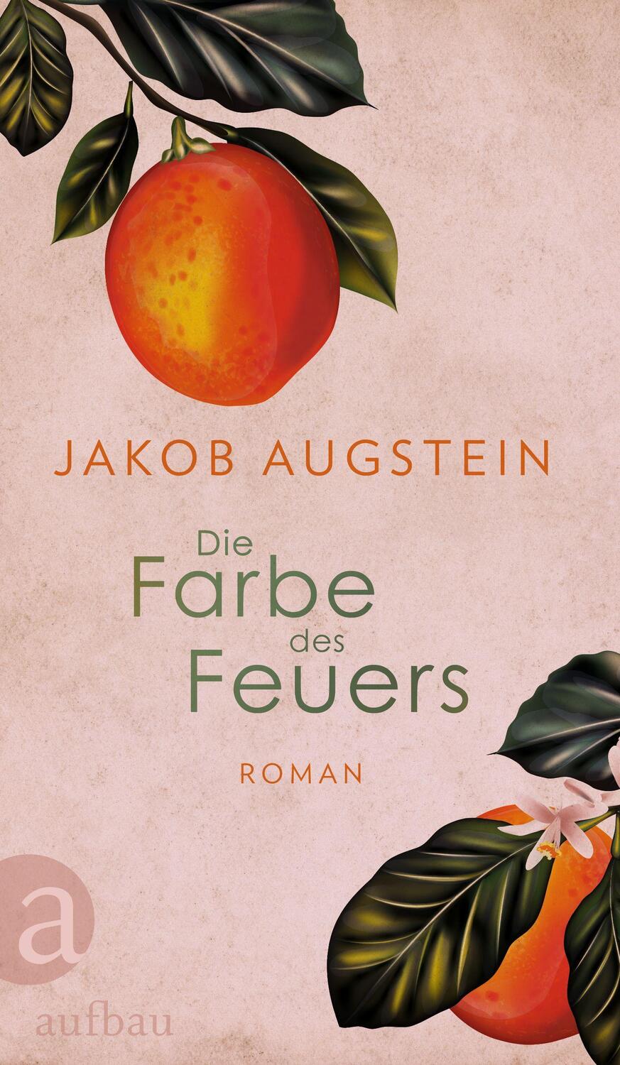 Cover: 9783351042233 | Die Farbe des Feuers | Roman | Jakob Augstein | Buch | 352 S. | 2024