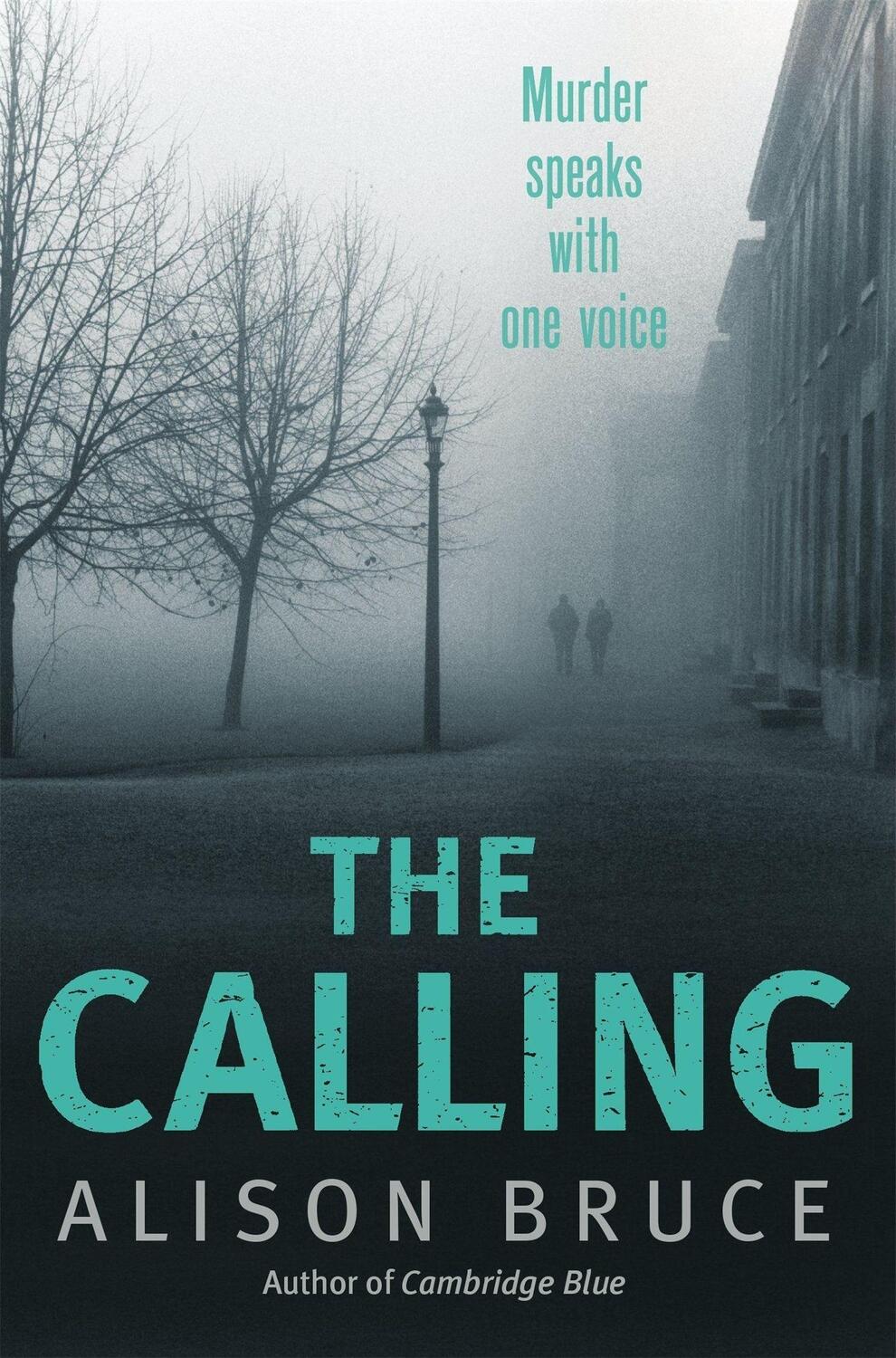 Cover: 9781780333830 | The Calling | Book 2 of the Darkness Rising Series | Alison Bruce