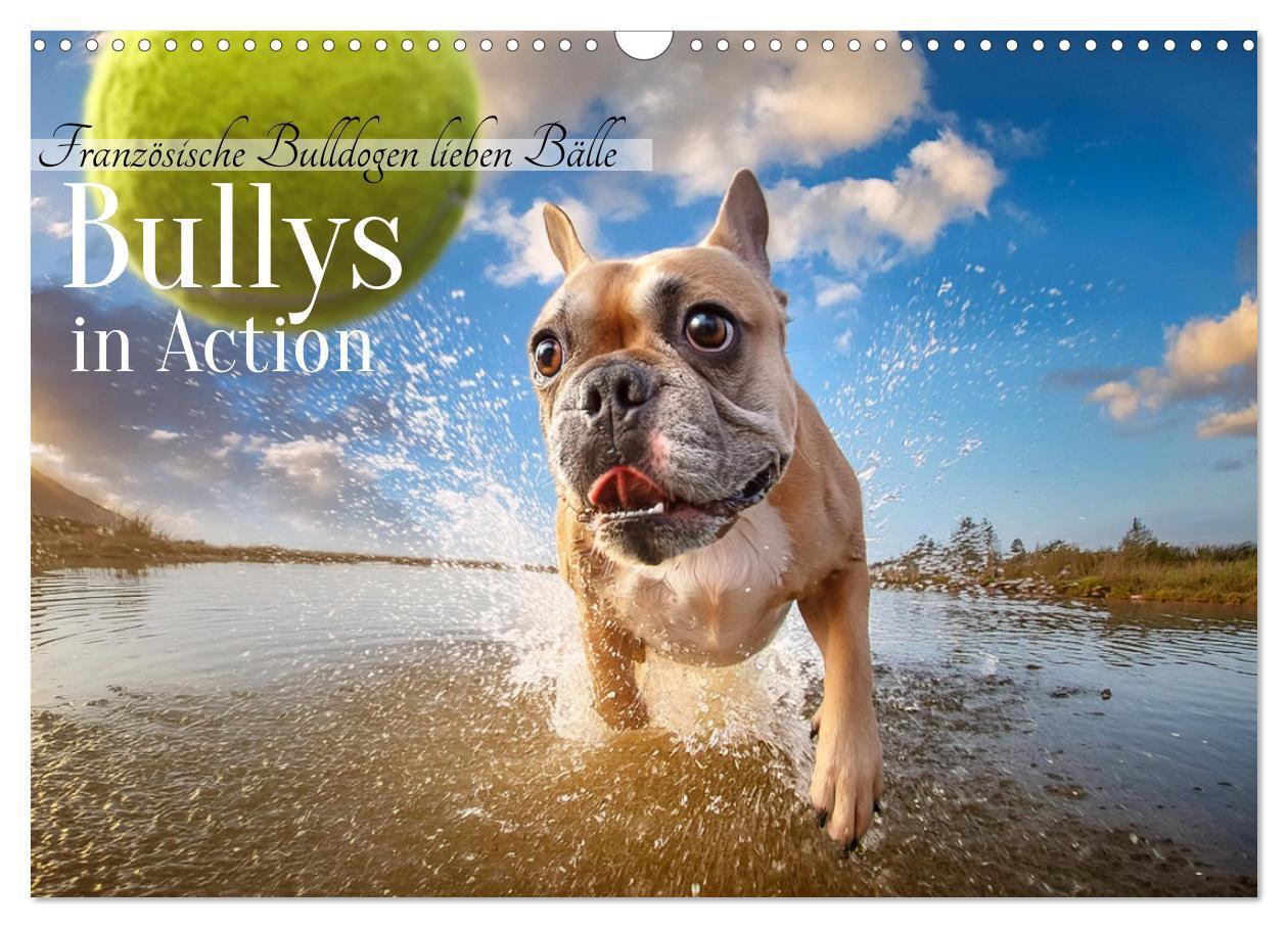 Cover: 9783383816703 | Bullys in Action - Französische Bulldoggen lieben Bälle...