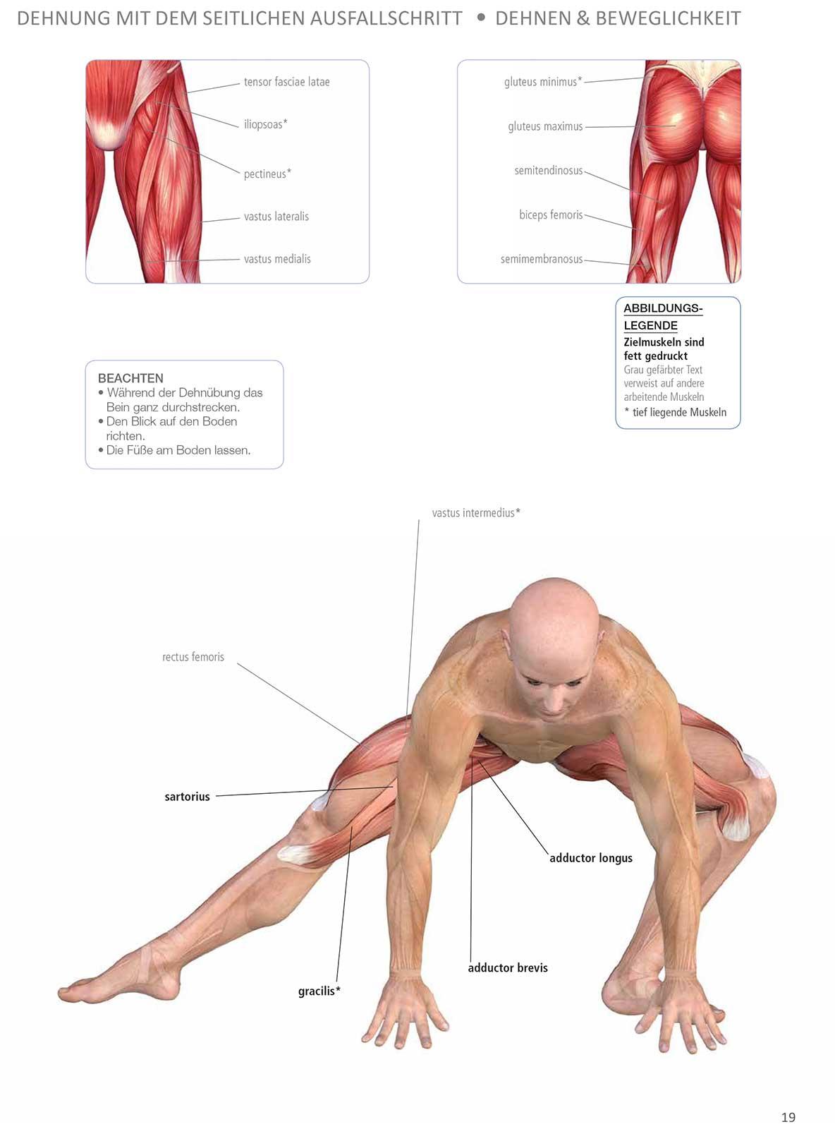 Bild: 9783868529203 | Ohne Geräte | Muskeltraining 50+ | Hollis Lance Liebman | Taschenbuch