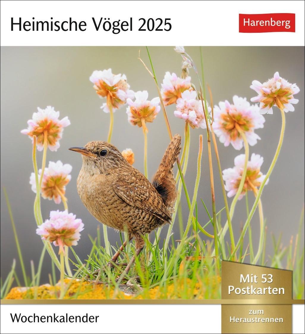 Cover: 9783840034213 | Heimische Vögel Postkartenkalender 2025 - Wochenkalender mit 53...