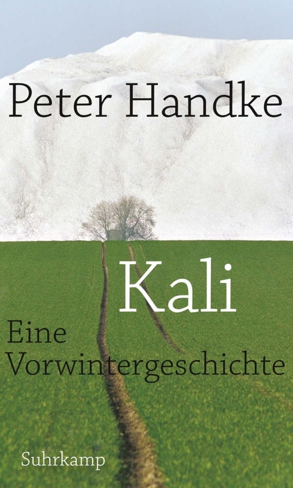 Cover: 9783518418772 | Kali | Eine Vorwintergeschichte | Peter Handke | Taschenbuch | 162 S.