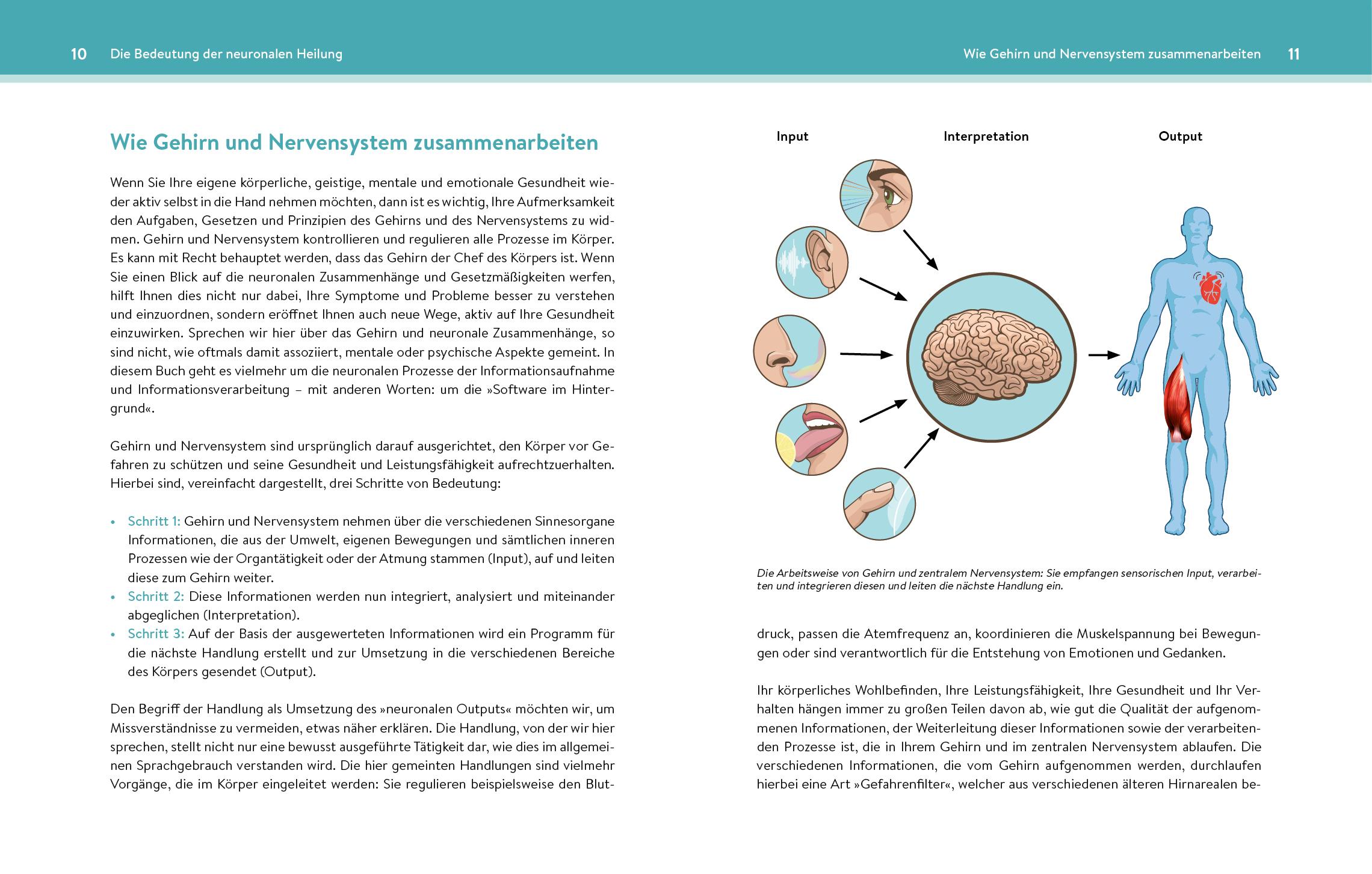 Bild: 9783742311344 | Neuronale Heilung | Lars Lienhard (u. a.) | Taschenbuch | 320 S.