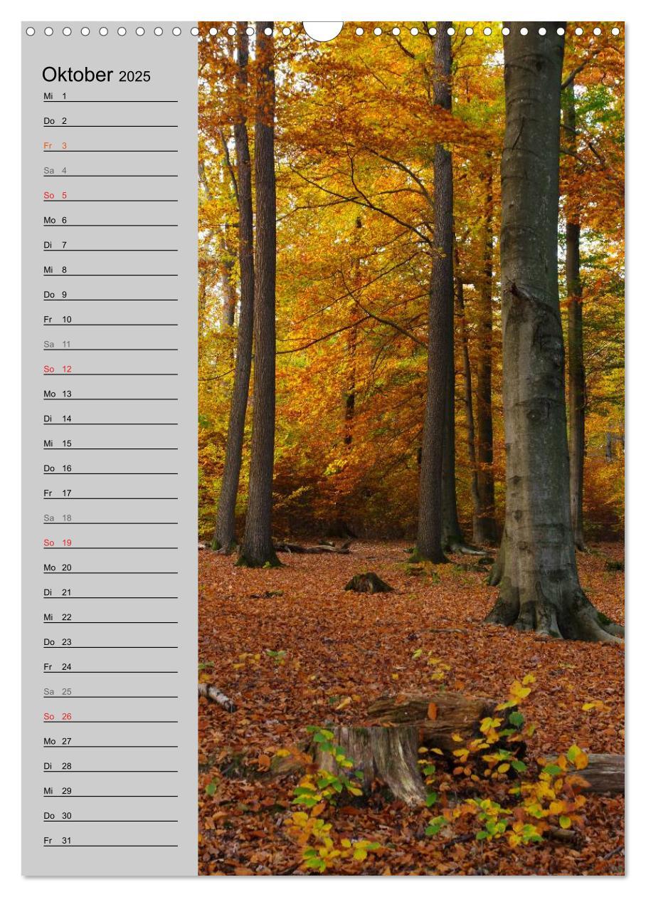 Bild: 9783457020562 | Traumhaftes Siegerland 2025 (Wandkalender 2025 DIN A3 hoch),...