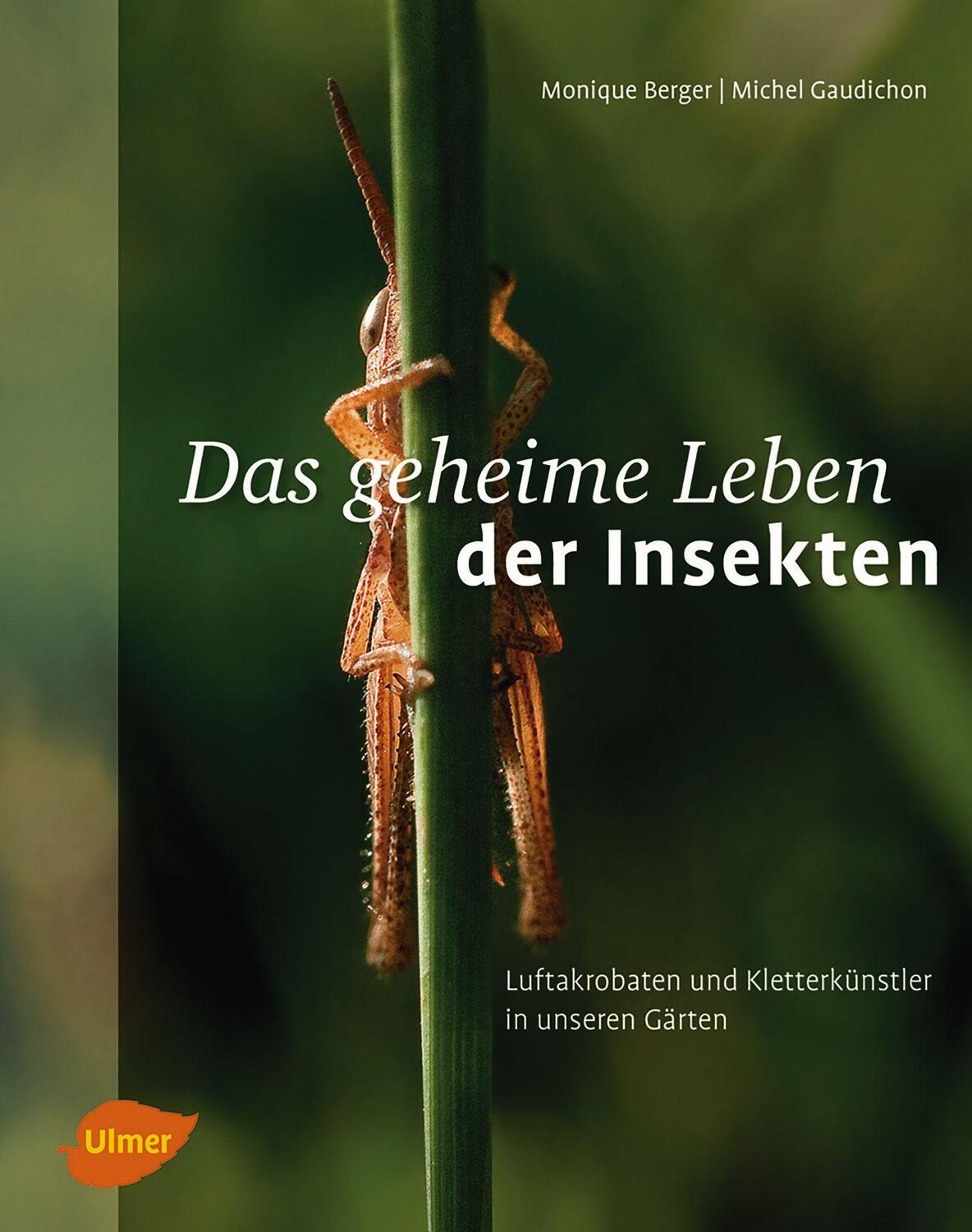 Cover: 9783800103829 | Das geheime Leben der Insekten | Monique Berger (u. a.) | Taschenbuch
