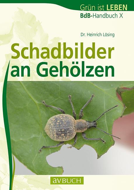 Cover: 9783840482069 | Schadbilder an Gehölzen | BdB-Handbuch X | Heinrich Lösing | Buch
