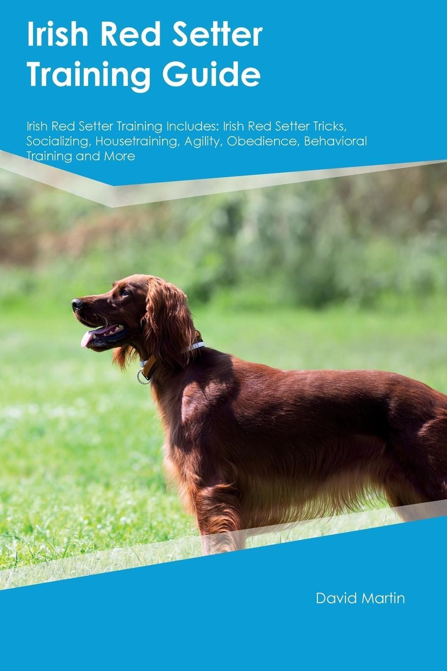 Cover: 9781395864491 | Irish Red Setter Training Guide Irish Red Setter Training Includes