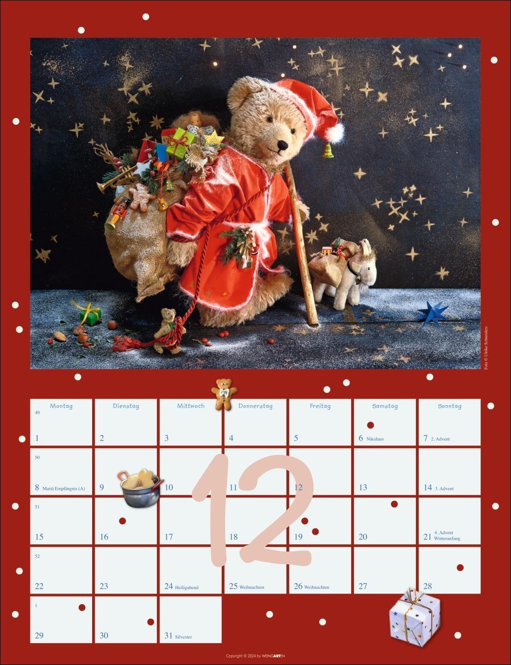 Bild: 9783839900512 | Teddybären Kalender 2025 | Kalender | Spiralbindung | 14 S. | Deutsch