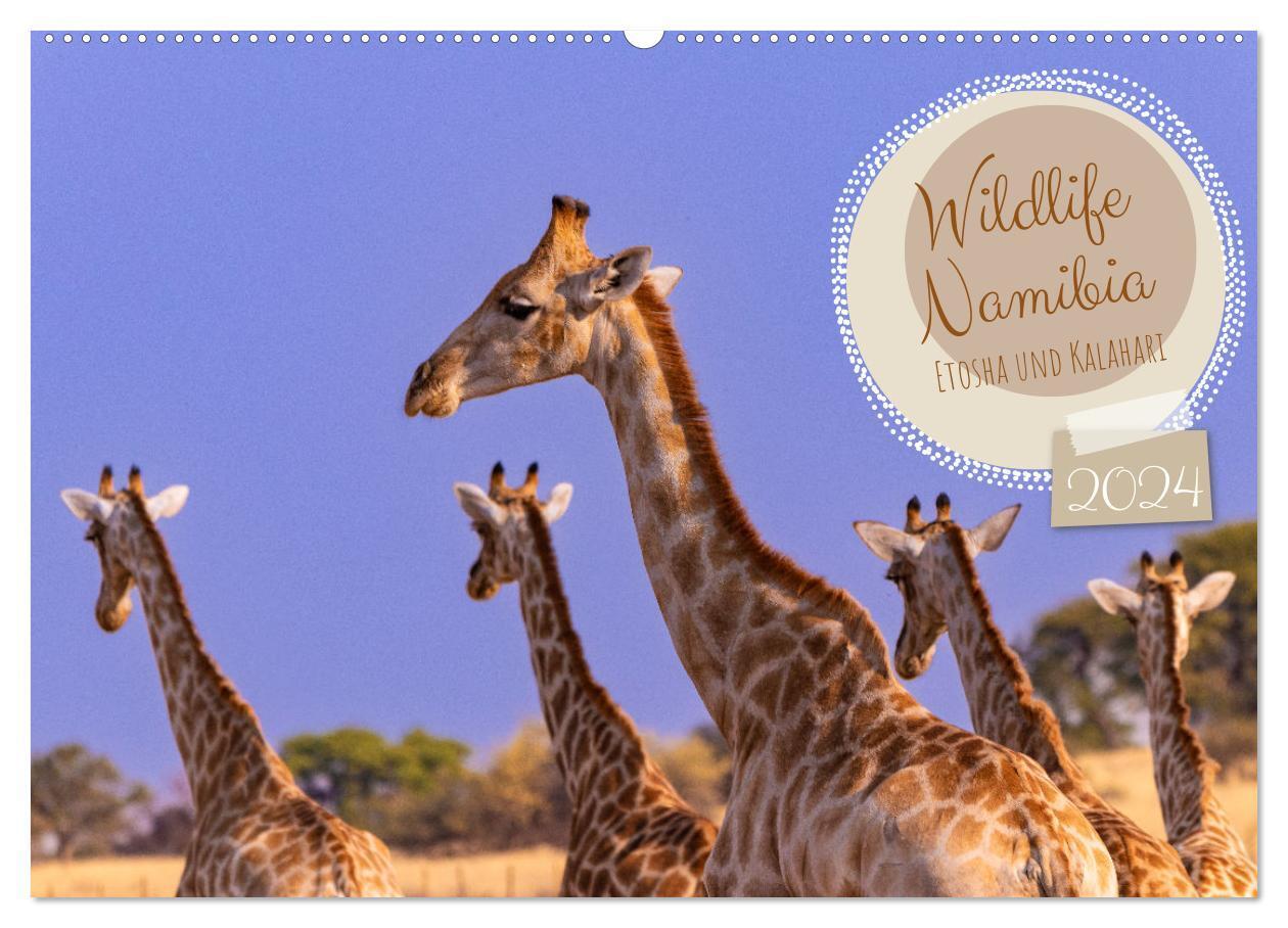 Cover: 9783383712531 | Wildlife Namibia - Etosha und Kalahari (Wandkalender 2024 DIN A2...