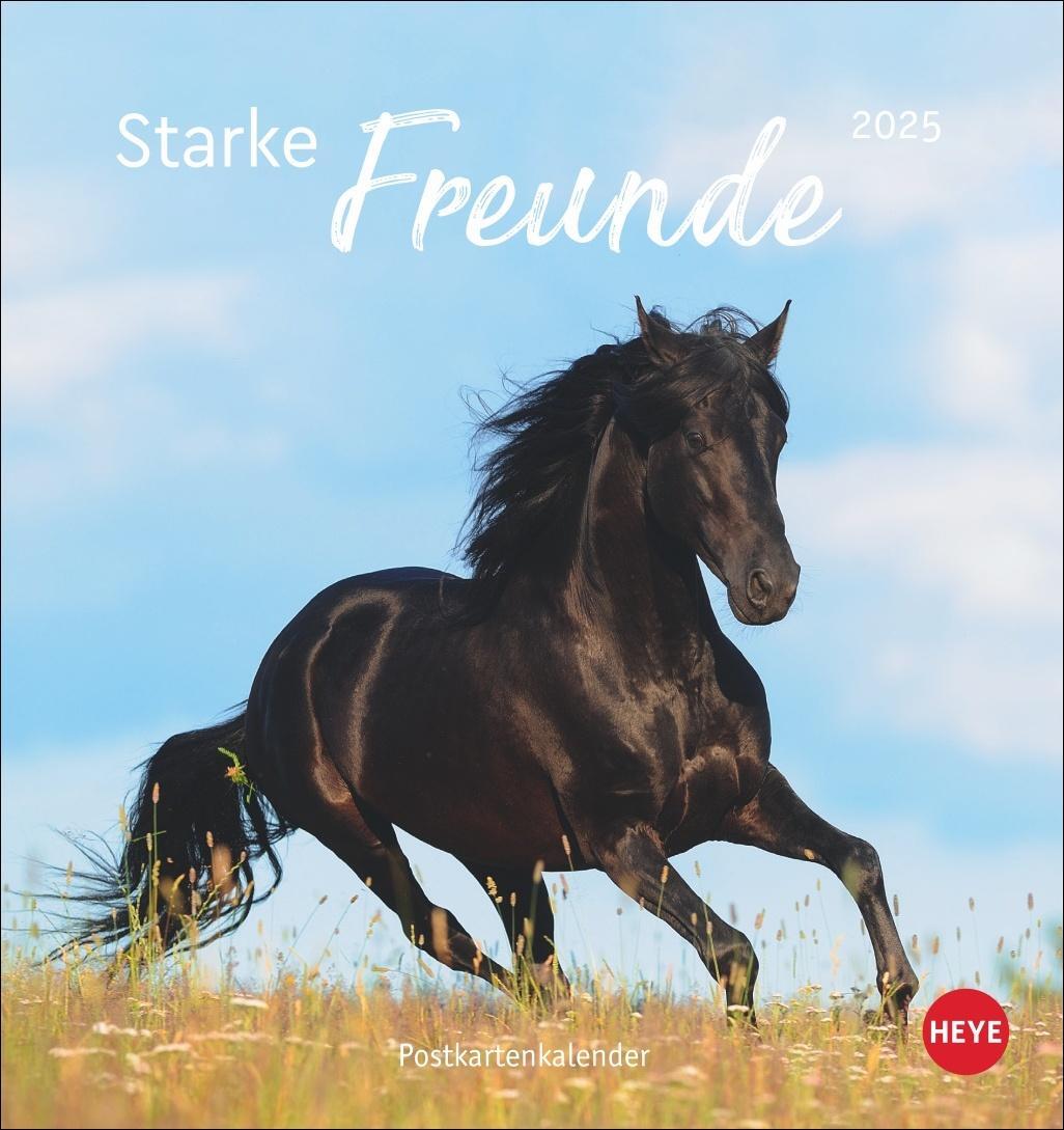 Cover: 9783756407040 | Pferde Postkartenkalender 2025 - Starke Freunde | Kalender | 13 S.