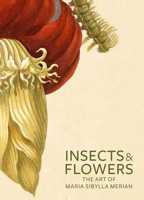 Cover: 9780892369294 | Insects and Flowers: The Art of Maria Sibylla Merian | Brafman (u. a.)