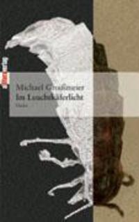 Cover: 9783865200808 | Im Leuchtkäferlicht | Michael Groißmeier | Taschenbuch | Paperback