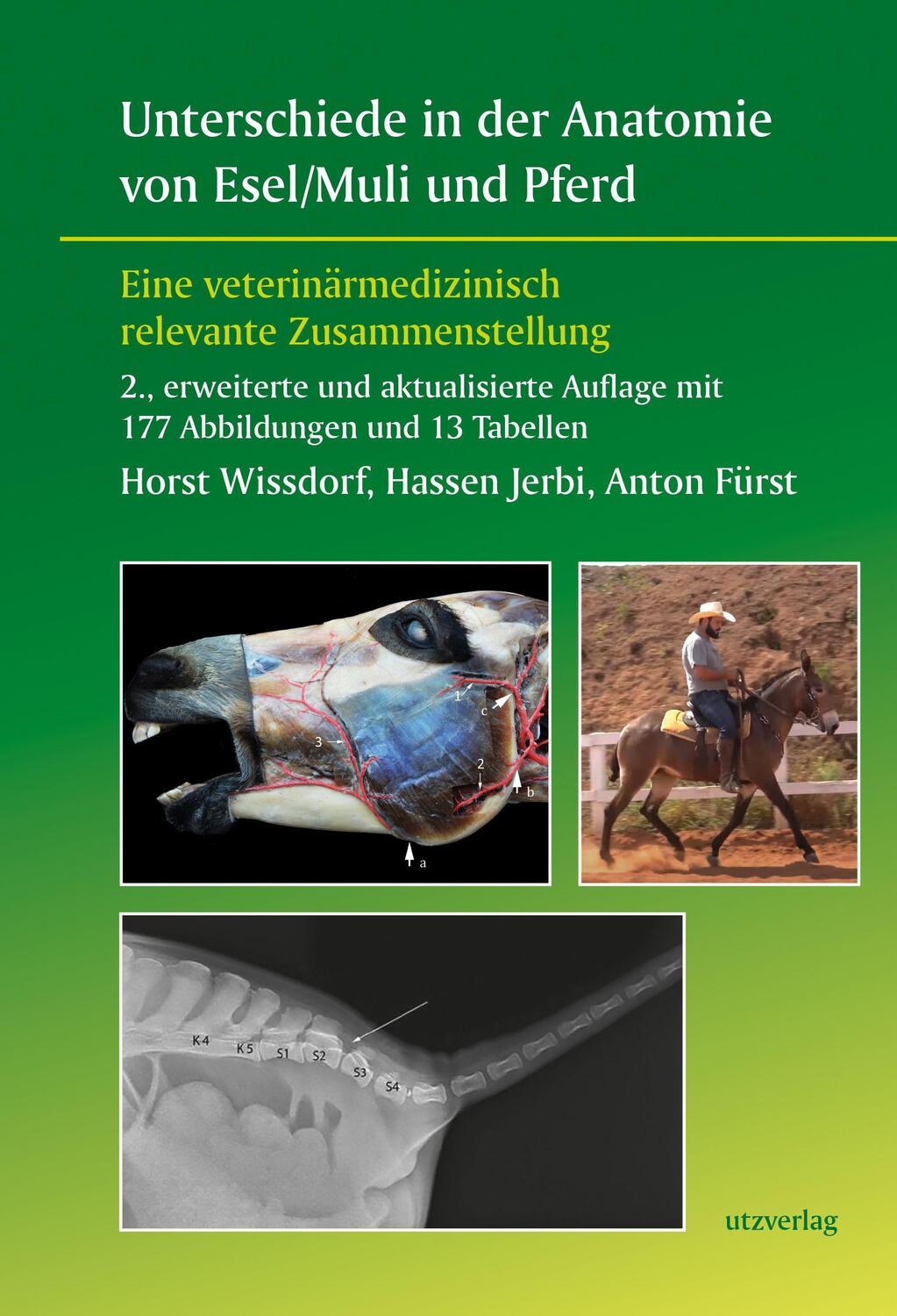Cover: 9783831649372 | Unterschiede in der Anatomie von Esel/Muli und Pferd | Taschenbuch